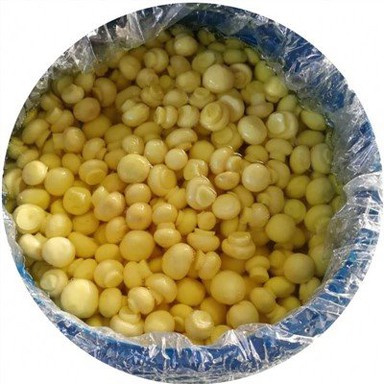 Champignons Salés en Tambour