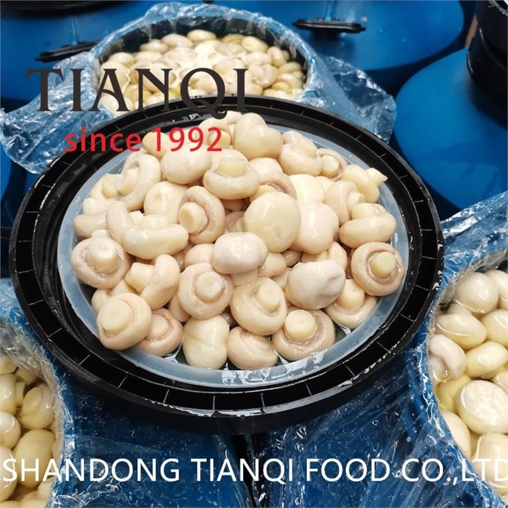 Whole white mushroom in salted water in drums