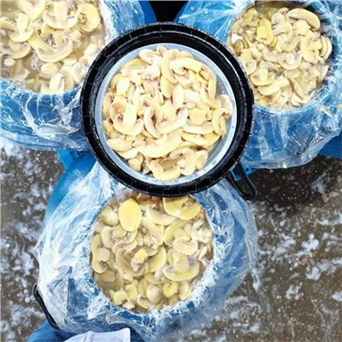 Champignon Blanc en Saumure en Fûts à Vendre