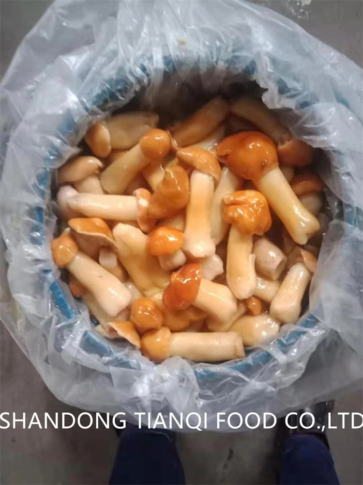High quality whole stropharia 1-3cm in brine in drums High quality whole stropharia 1-3cm in brine in drums