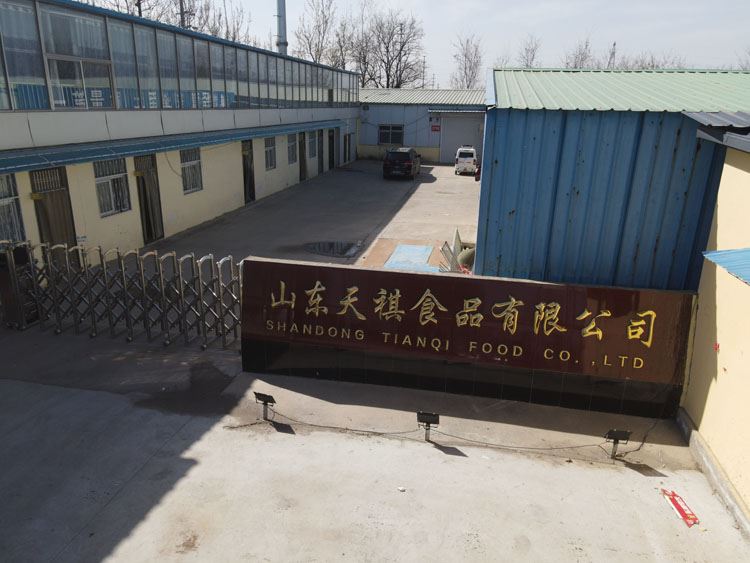 Factory Shandong tianqi mushroom in brine in drums Factory Shandong tianqi mushroom in brine in drums