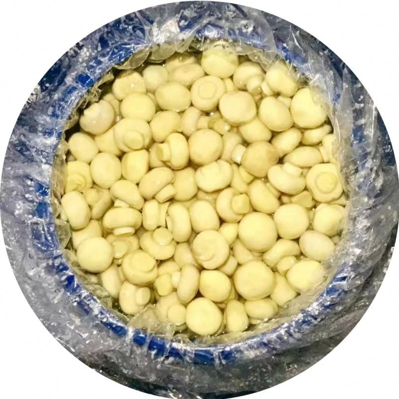 Champignon de Paris en Saumure