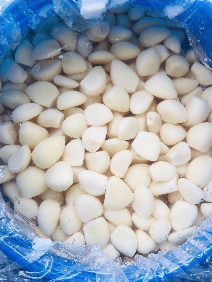 High quality white peeled garlic in brine in drums