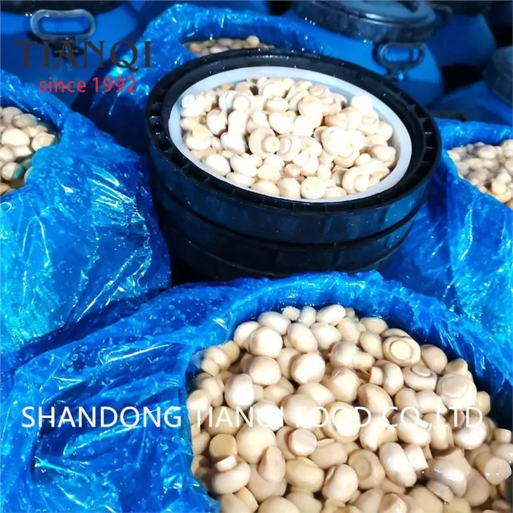 Champignons en fûts dans une usine de vinaigre