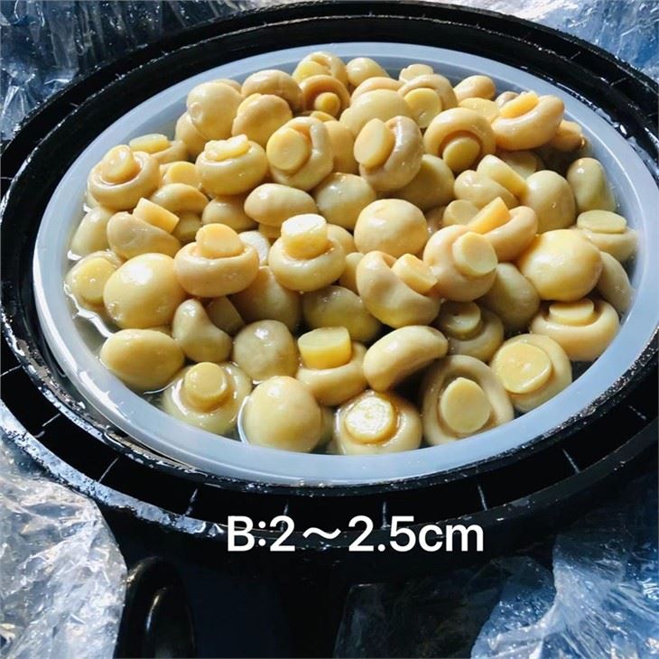 Best salty white mushroom in plastic drums