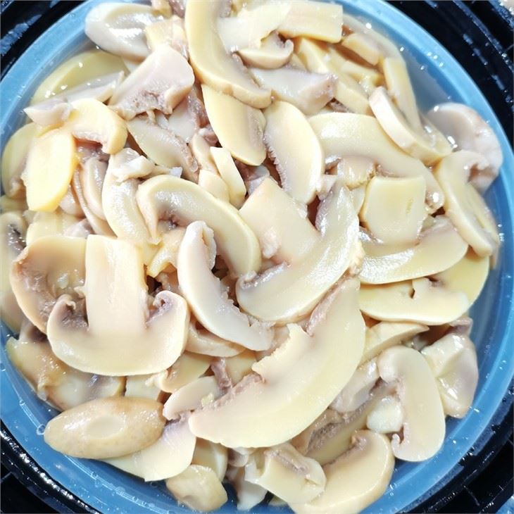 Quality Salted Slice Champgignon Mushroom in Drum