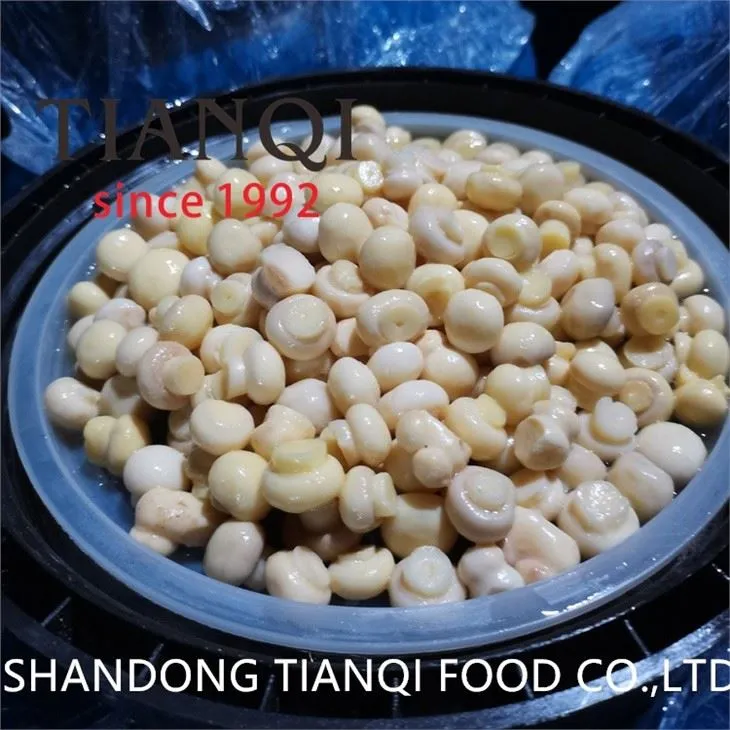 High quality white mushroom in vinegar in drums