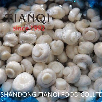 Champignon Champignon tranché dans des fûts en plastique