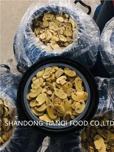 Champignons en Saumure en Fût Plastique 50kgs