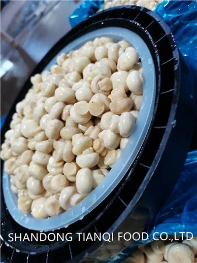 Champignons blancs au vinaigre en fûts