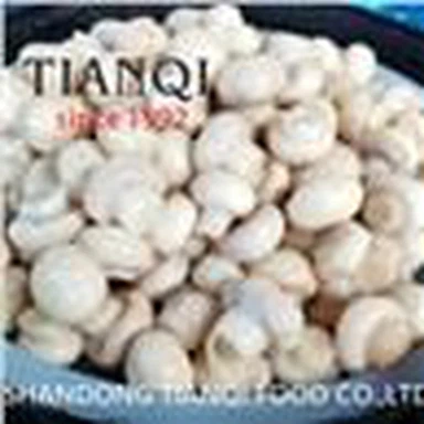 Champignon ENTIER frais dans un produit chimique dans un tambour