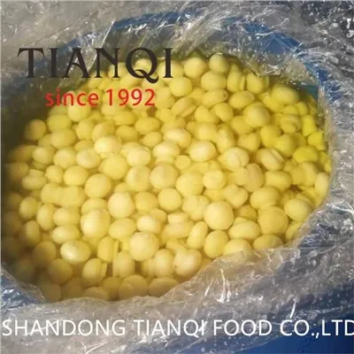 Champignon entier en SO2 dans un tambour en plastique