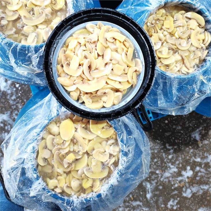 Sliced Mushroom in Brine in Drums