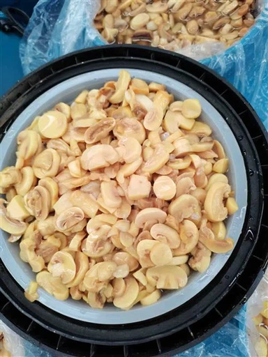 Champignon en Saumure en Fût 50kg