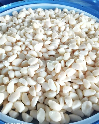 Ail blanc frais pelé en saumure en fûts